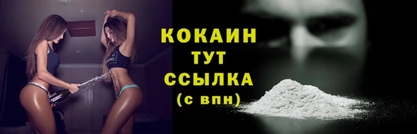 соль ск Алзамай