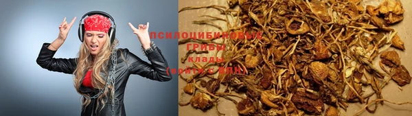 соль ск Алзамай