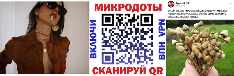 Псилоцибиновые грибы мухоморы Дубна