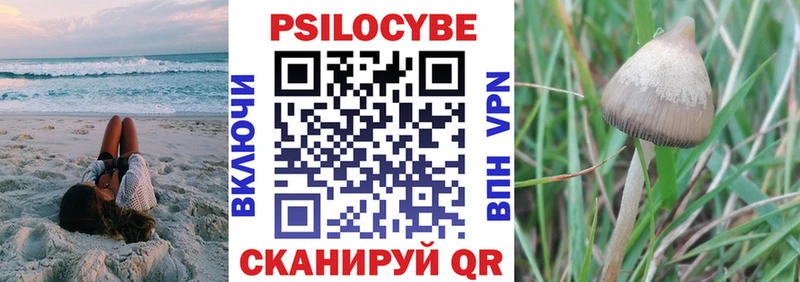 Галлюциногенные грибы ЛСД Дубна