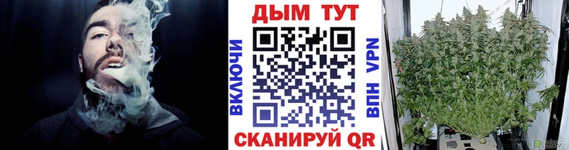купить наркоту  Дубна  Каннабис планчик 